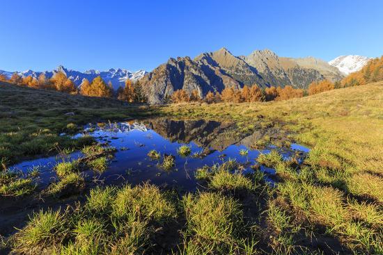 Premium Photographic Print, , large