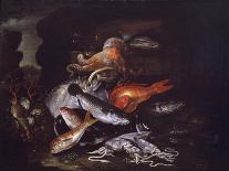 Still Life with Fish, Shellfish and Crustaceans-Francesco Della Questa-Giclee Print