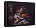 Framed Canvas
