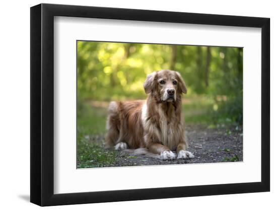 Photographic Print, , large