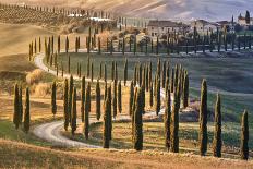 Ancient Roman stone road with a colonnade, Jerash, Jordan, Middle East-Francesco Fanti-Photographic Print