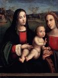 Virgin and Child, 15th or Early 16th Century-Francesco Francia-Giclee Print