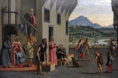 Life of the Young Tobias-Francesco Granacci-Giclee Print