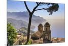 Wood Mount