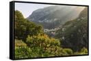 Canvas Black