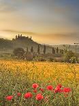 Italy, Umbria, Perugia District, Assisi, Basilica of Santa Chiara-Francesco Iacobelli-Photographic Print