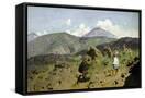 Canvas Black