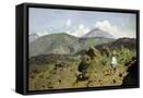 Canvas Black