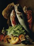 Still Life: Fish, Vegetables and Mushrooms-Francesco Malacrea-Giclee Print