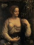 Flora, C1510-C1515-Francesco Melzi-Framed Stretched Canvas
