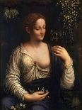 Flora, C1510-C1515-Francesco Melzi-Giclee Print