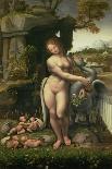 Leda and the Swan-Francesco Melzi Or Melzo-Stretched Canvas