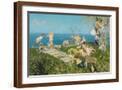 Brown Frame