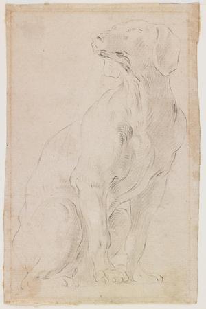 Seated Dog, 1710-1715