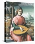 Portrait Of A Young Man With A Lute (Allegory Of Youth And Love)-Francesco Ubertini Bacchiacca-Premium Giclee Print
