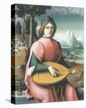 Vision of St Bernard-Francesco Ubertini Bacchiacca-Giclee Print