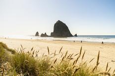 Haystack Rock and The Needles, with Gynerium spikes in the foreground, Cannon Beach-francesco vaninetti-Photographic Print