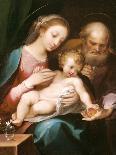 The Madonna Del Popolo, after Barocci (Black Chalk with Brownish Wash on Beige Paper)-Francesco Vanni-Giclee Print