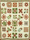 An Appliqued Cotton Album Quilt, circa 1852-Francina Stout Van Dyke-Framed Stretched Canvas