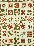 An Appliqued Cotton Album Quilt, circa 1852-Francina Stout Van Dyke-Framed Stretched Canvas