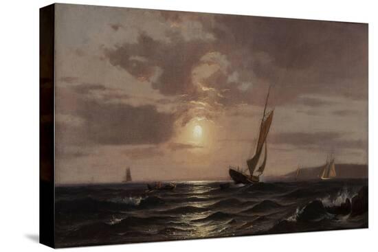Stretched Canvas Print, , large