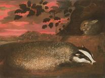 Badger, 17th Century-Francis Barlow-Framed Giclee Print