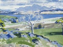 Treshnish Point from Iona-Francis Campbell Cadell-Stretched Canvas