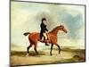 Francis Const on His Bay Hunter Riding Near the Sea, 1806-Benjamin Marshall-Mounted Giclee Print