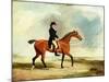 Francis Const on His Bay Hunter Riding Near the Sea, 1806-Benjamin Marshall-Mounted Giclee Print