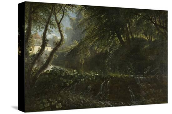 Stretched Canvas Print, , large