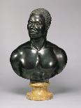 Bust of a Man (Black Limestone and Yellow Marble) (See also 281573)-Francis Harwood-Giclee Print