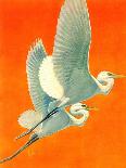 "Flying Storks,"June 19, 1937-Francis Lee Jaques-Framed Giclee Print