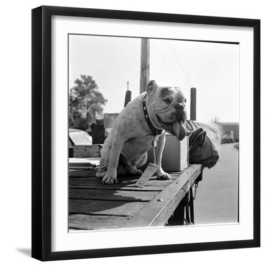 Photographic Print, , large