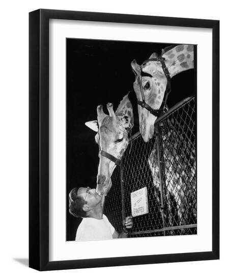 Premium Photographic Print, , large