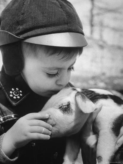 Photographic Print, , large