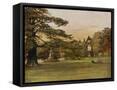 Framed Canvas