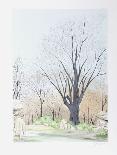 Paysage aux Arbres-Francis Saillart-Framed Limited Edition