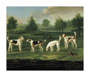 Sir Charles Warre Malet's String of Racehorses at Exercise-Francis Sartorius-Framed Giclee Print