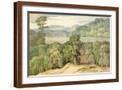 Brown Frame