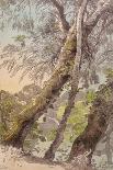 Trees Overhanging Water, 1800-Francis Towne-Giclee Print