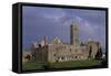 Franciscan Friary, Quin, Ennis, Ireland-null-Framed Stretched Canvas