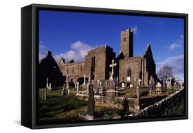 Franciscan Friary, Quin, Ennis, Ireland-null-Framed Stretched Canvas