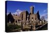 Franciscan Friary, Quin, Ennis, Ireland-null-Stretched Canvas