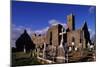 Franciscan Friary, Quin, Ennis, Ireland-null-Mounted Giclee Print