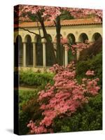 Franciscan Monastery with Pink Dogwood and Azaleas, Washington DC, USA-Corey Hilz-Stretched Canvas