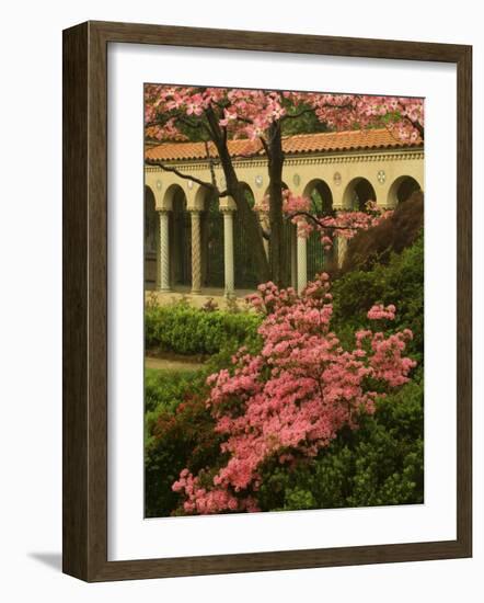 Franciscan Monastery with Pink Dogwood and Azaleas, Washington DC, USA-Corey Hilz-Framed Photographic Print