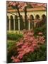 Franciscan Monastery with Pink Dogwood and Azaleas, Washington DC, USA-Corey Hilz-Mounted Photographic Print