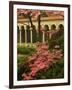 Franciscan Monastery with Pink Dogwood and Azaleas, Washington DC, USA-Corey Hilz-Framed Photographic Print