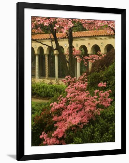 Franciscan Monastery with Pink Dogwood and Azaleas, Washington DC, USA-Corey Hilz-Framed Photographic Print