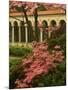 Franciscan Monastery with Pink Dogwood and Azaleas, Washington DC, USA-Corey Hilz-Mounted Photographic Print